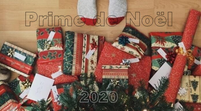 primr noel 2020