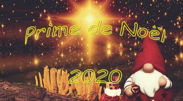 prime noel 2020